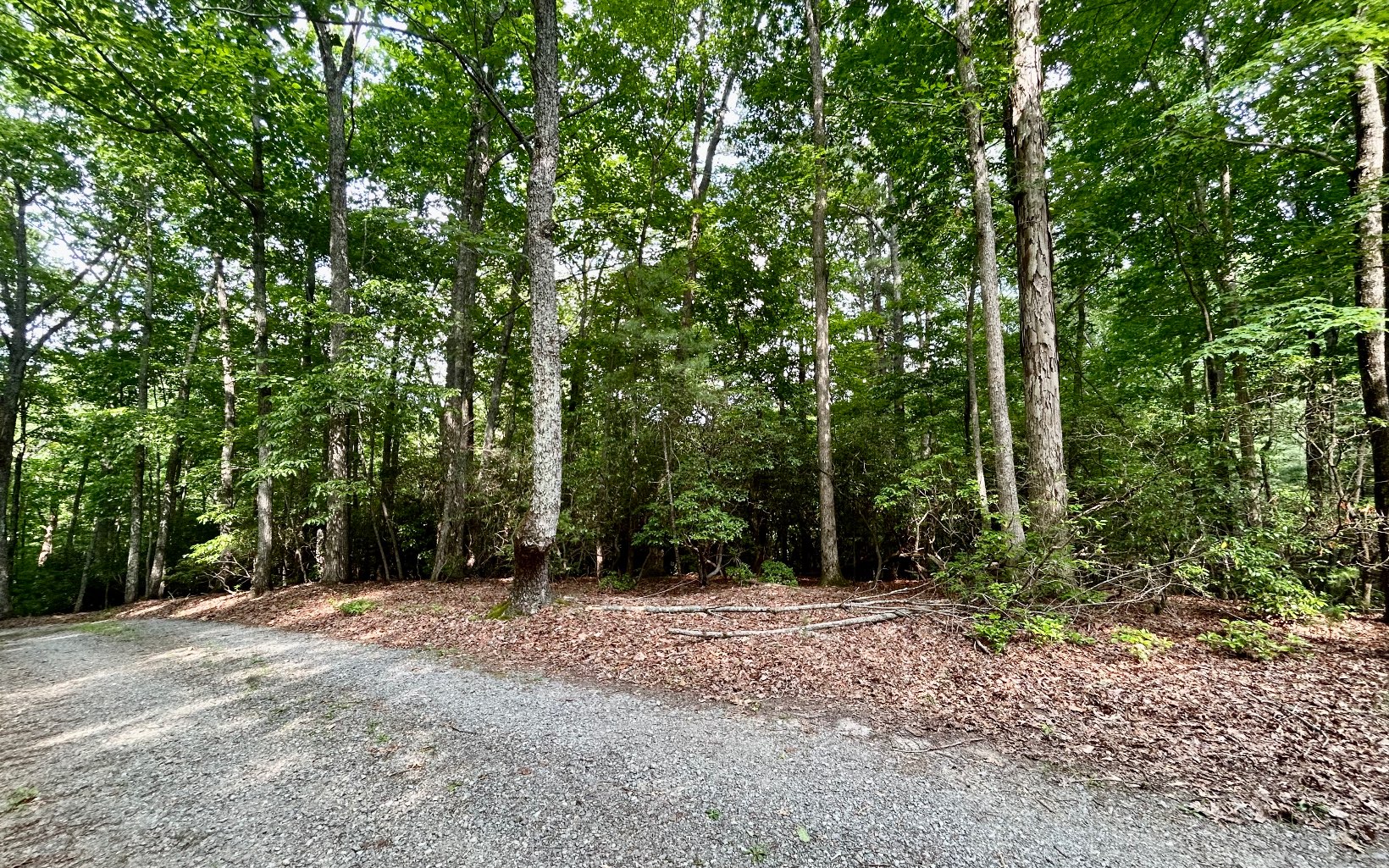 G-79 Ridge View Road