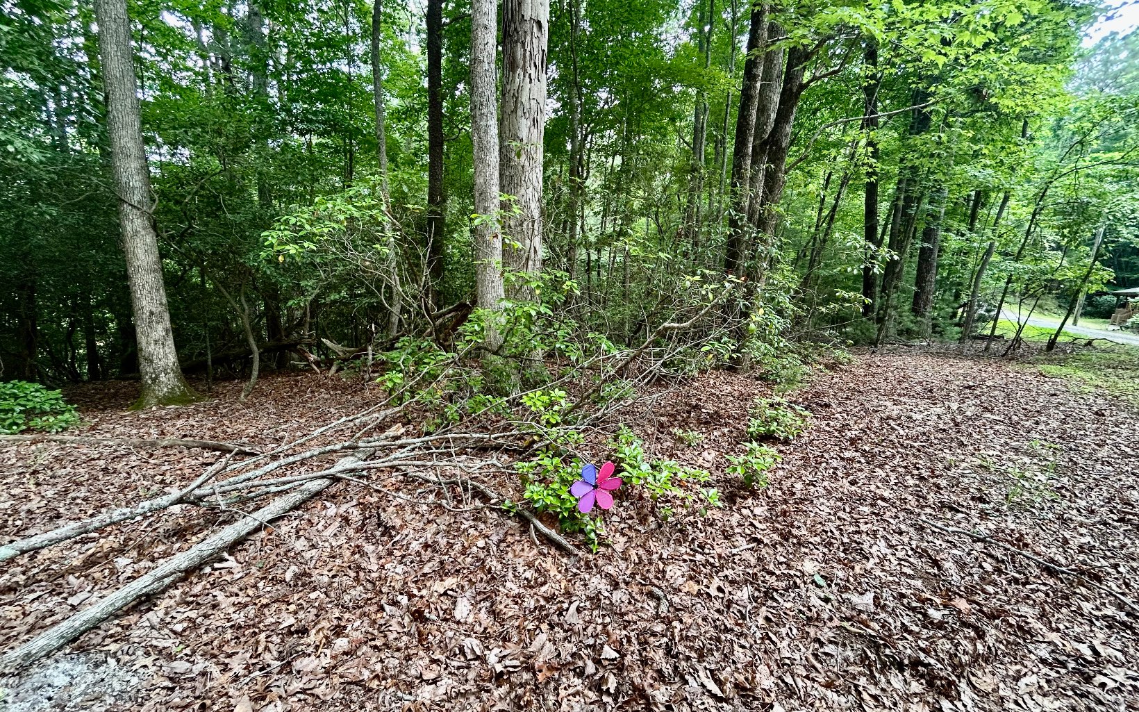 G-79 Ridge View Road