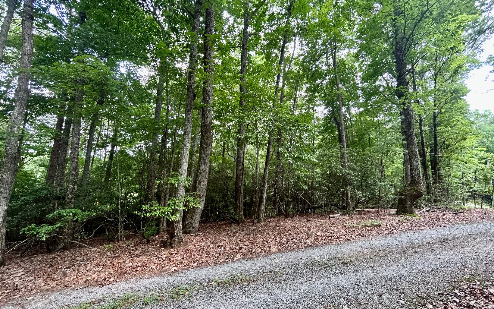 G-79 Ridge View Road