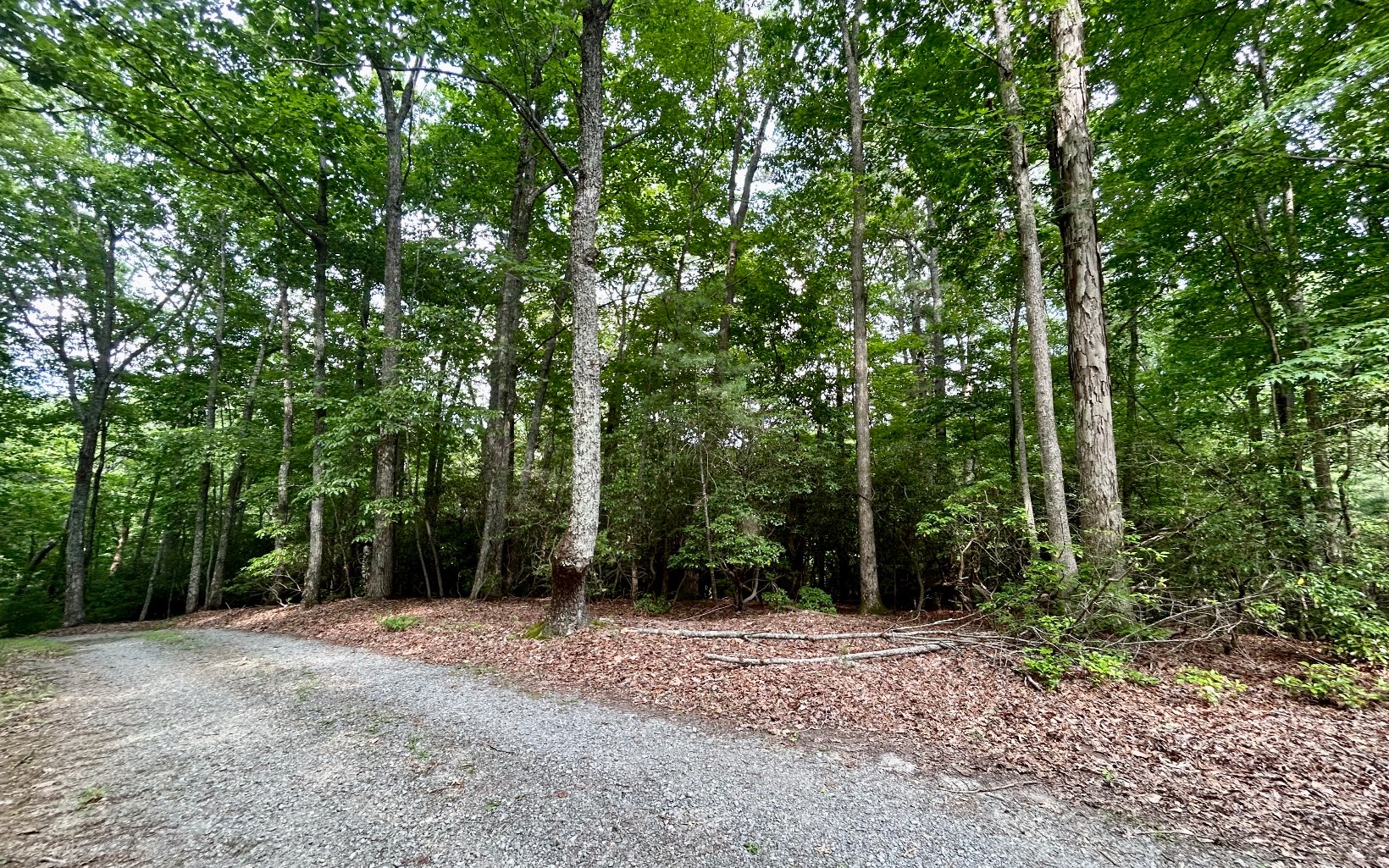 G-79 Ridge View Road