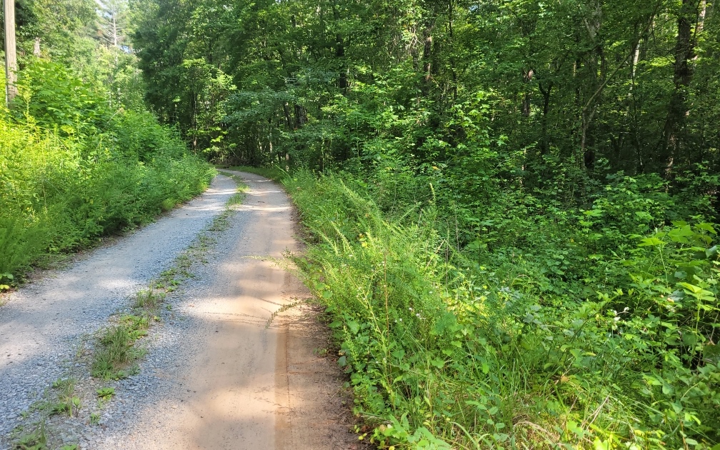 Lot 10 Quail Run Rd