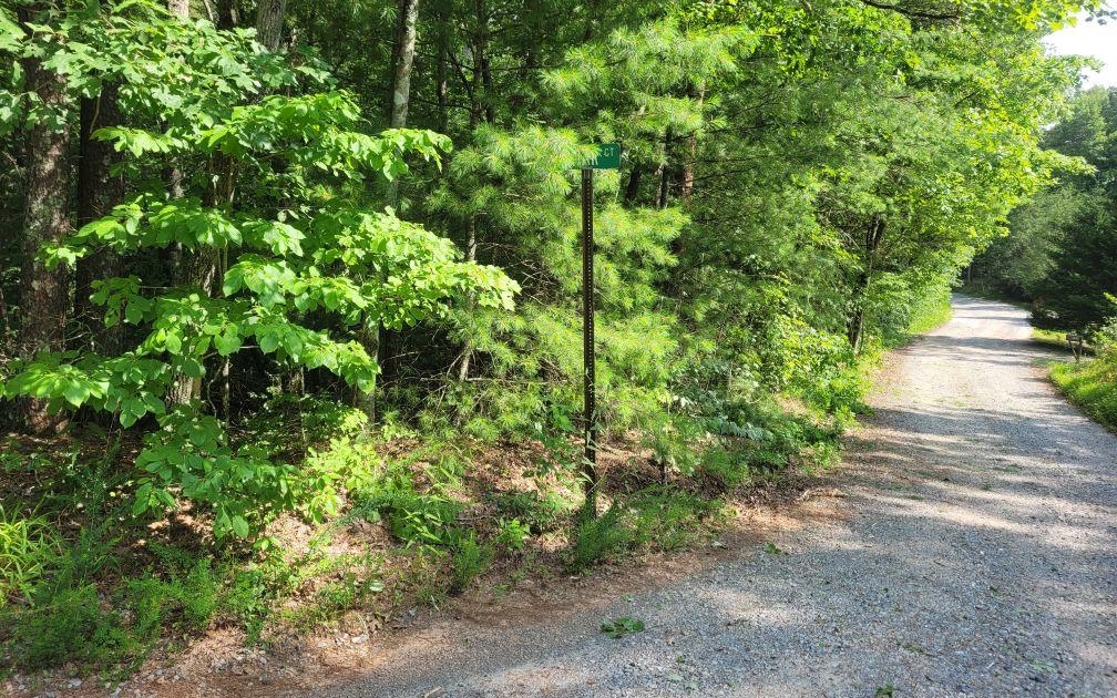Lot 10 Quail Run Rd