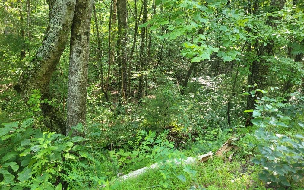 Lot 10 Quail Run Rd