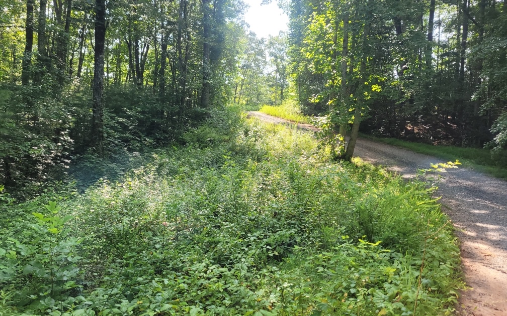 Lot 10 Quail Run Rd