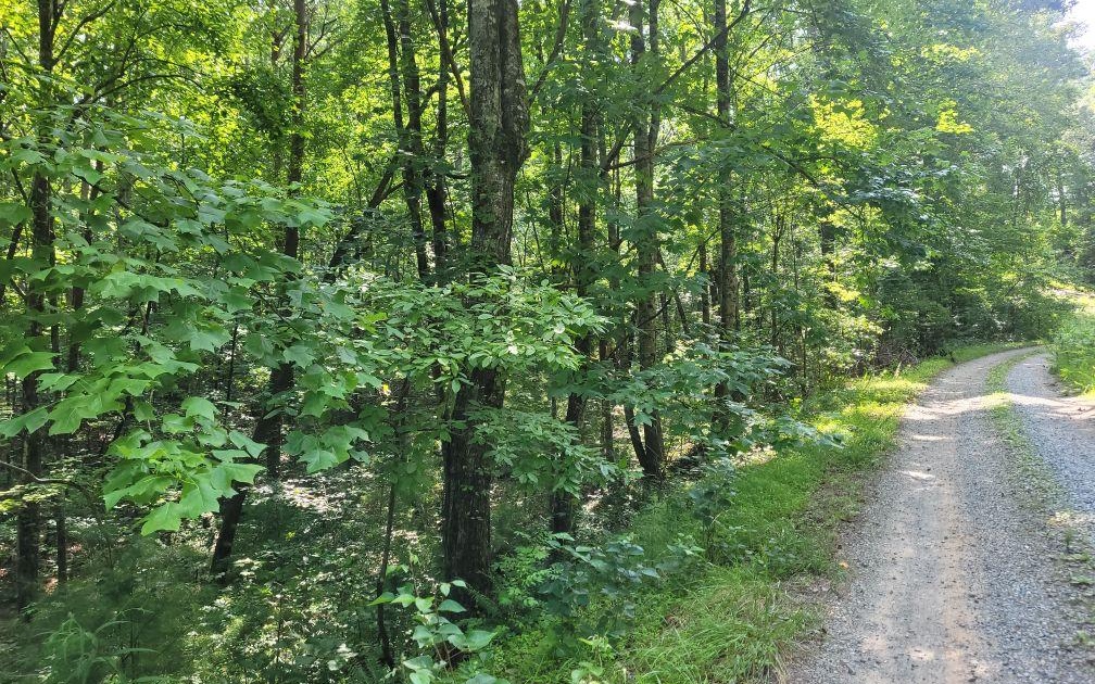 Lot 10 Quail Run Rd