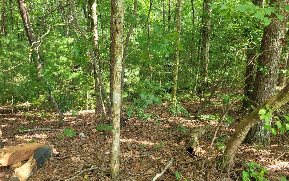 Lot 10 Quail Run Rd