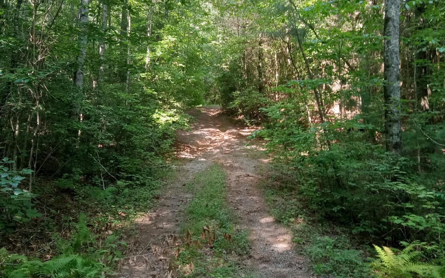 Conasauga Drive