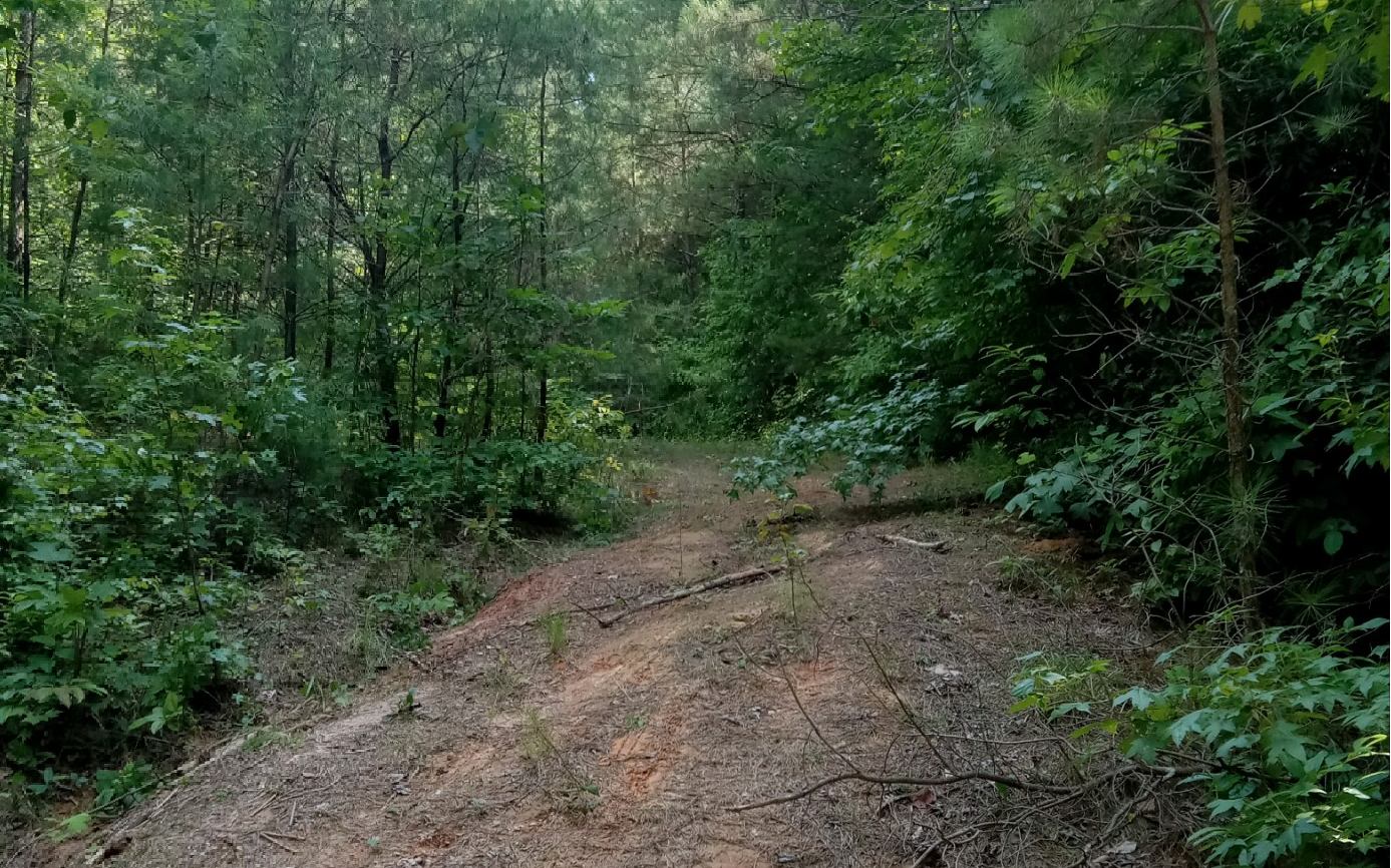 Conasauga Drive