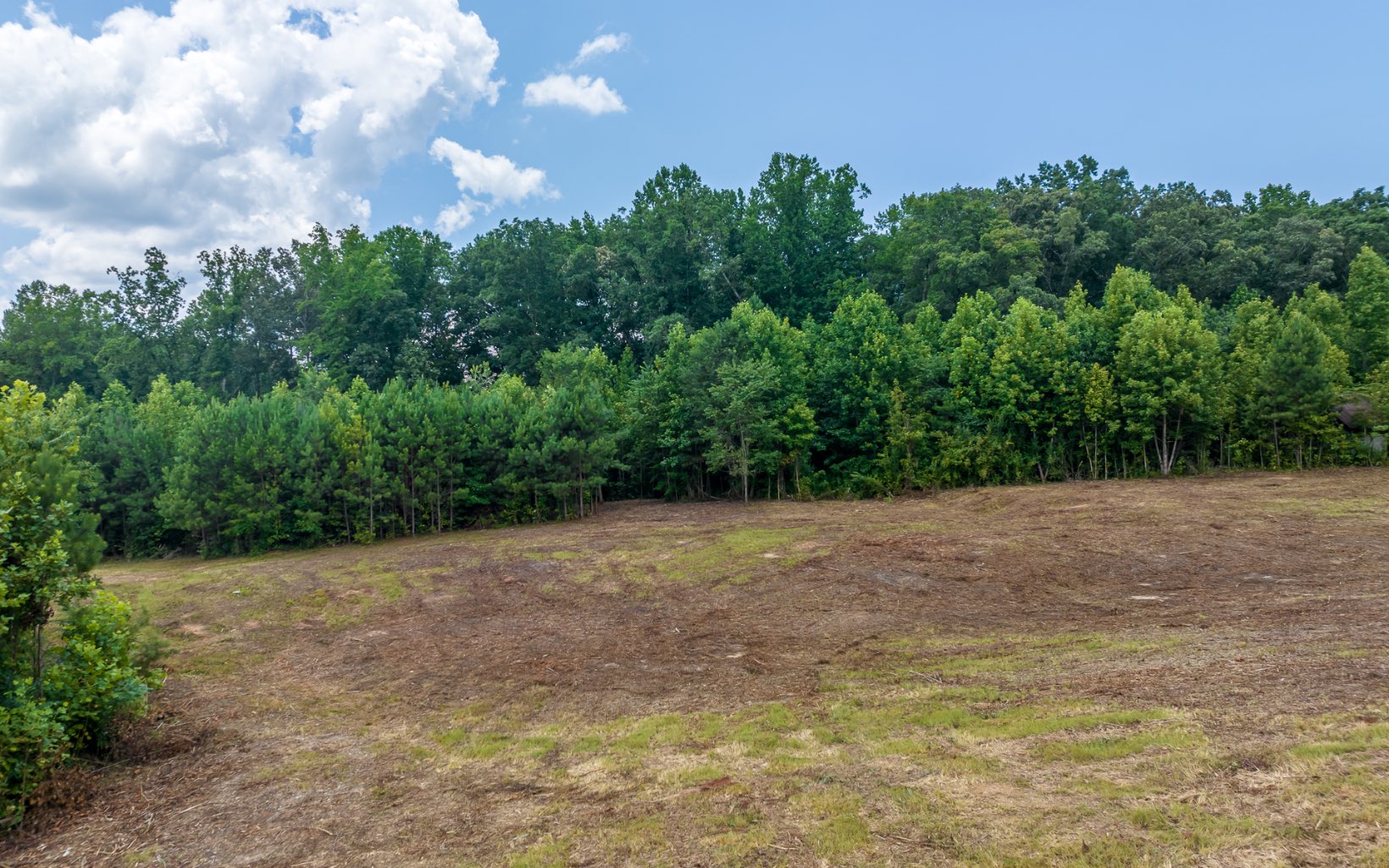 Hwy 382 & Old Hwy 5s