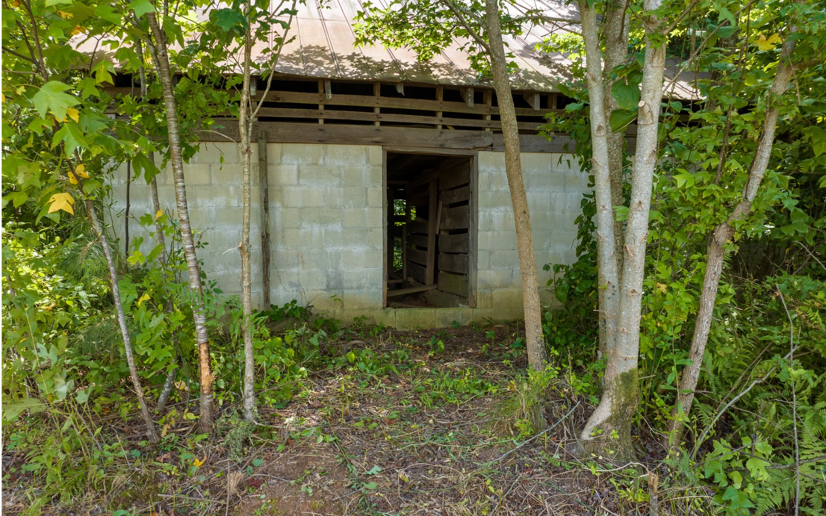 Hwy 382 & Old Hwy 5s