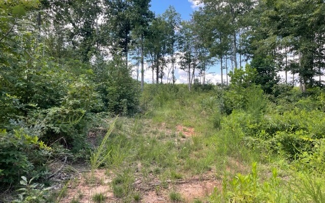 LT147 Twisted Oak Drive