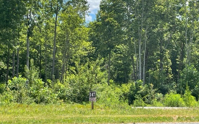 LT147 Twisted Oak Drive