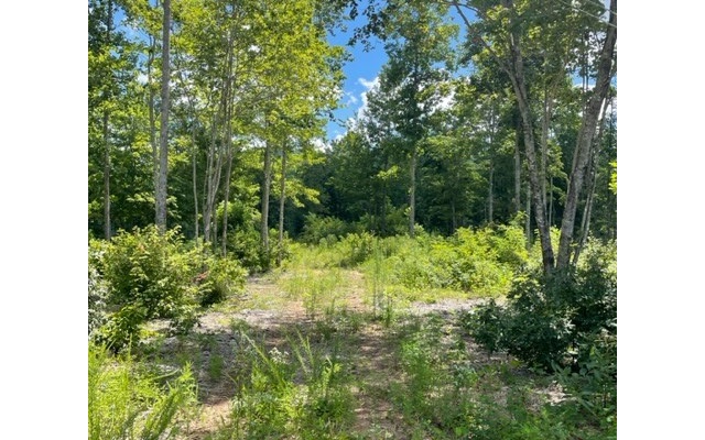 LT147 Twisted Oak Drive