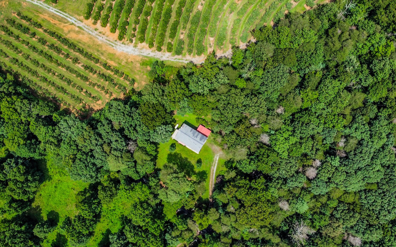 251 Ralston Road