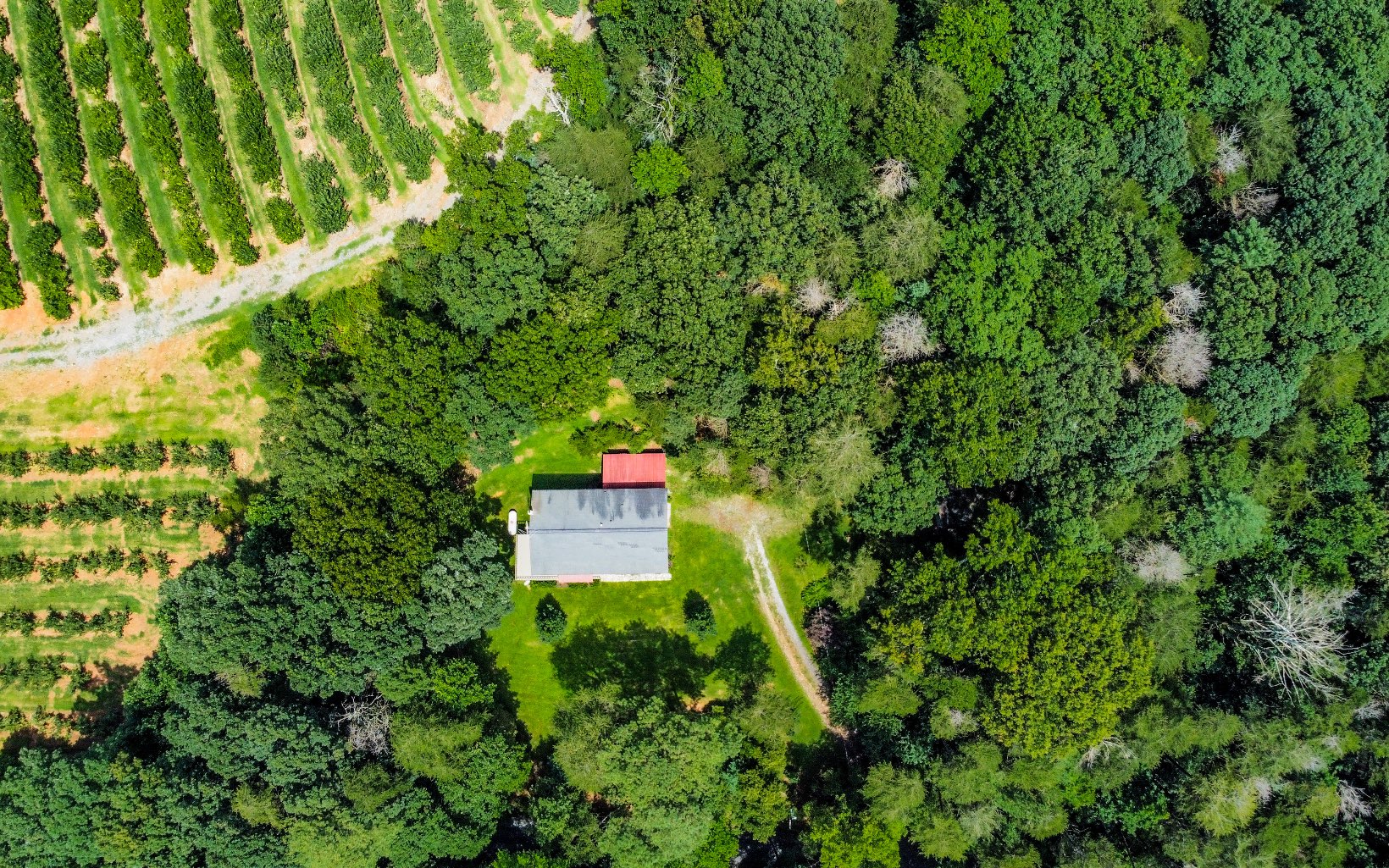 251 Ralston Road