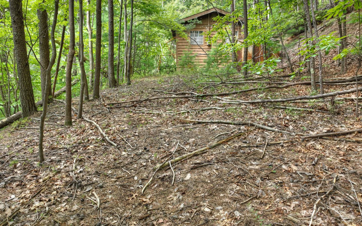 938 Rocky Mountain Circle