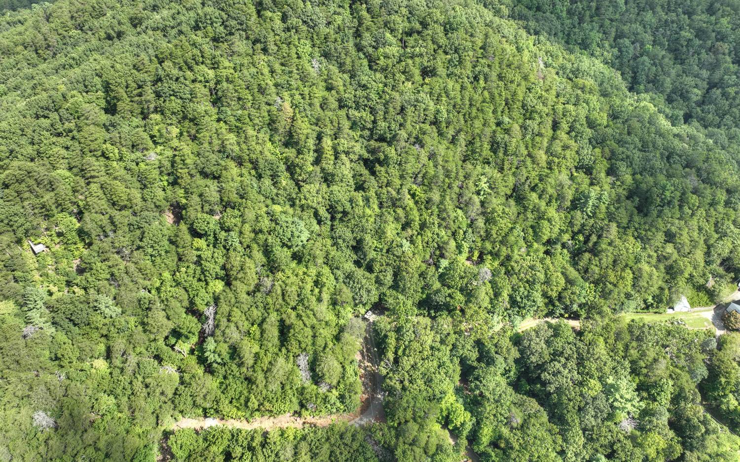 938 Rocky Mountain Circle