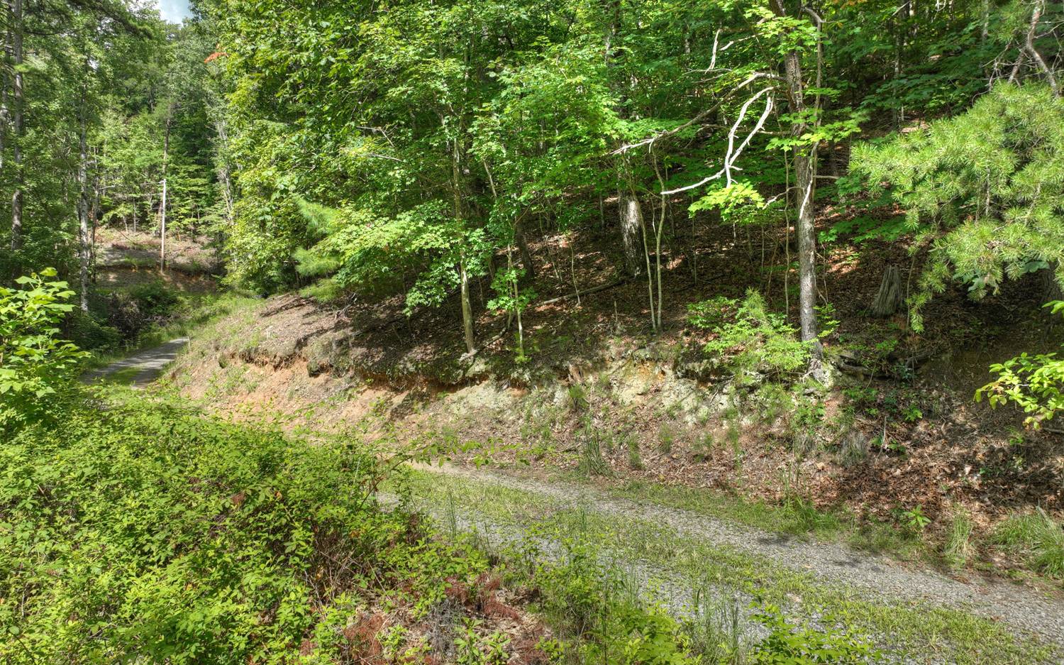 938 Rocky Mountain Circle