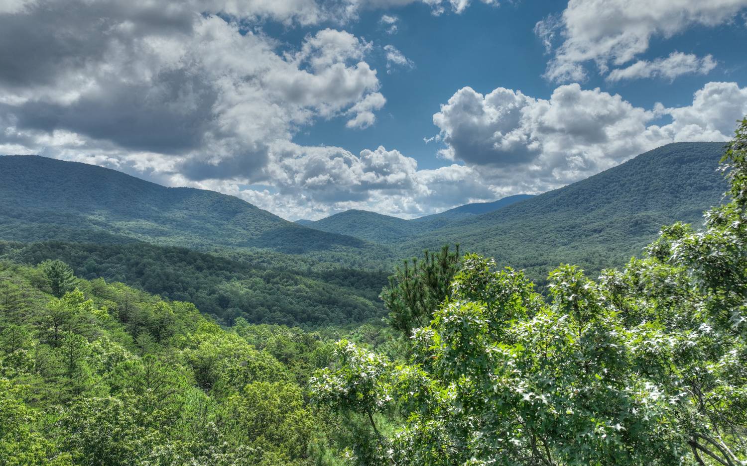 938 Rocky Mountain Circle