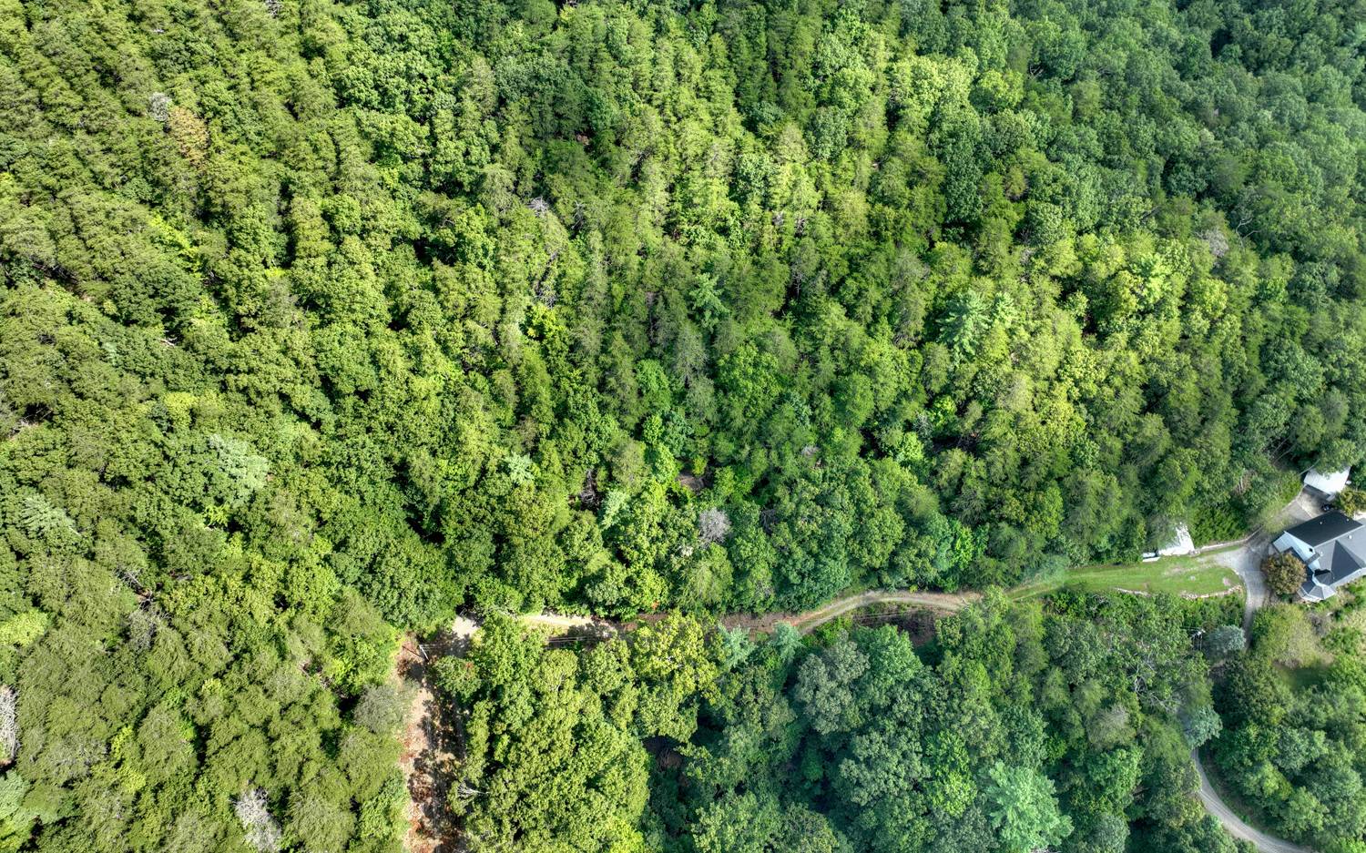 938 Rocky Mountain Circle