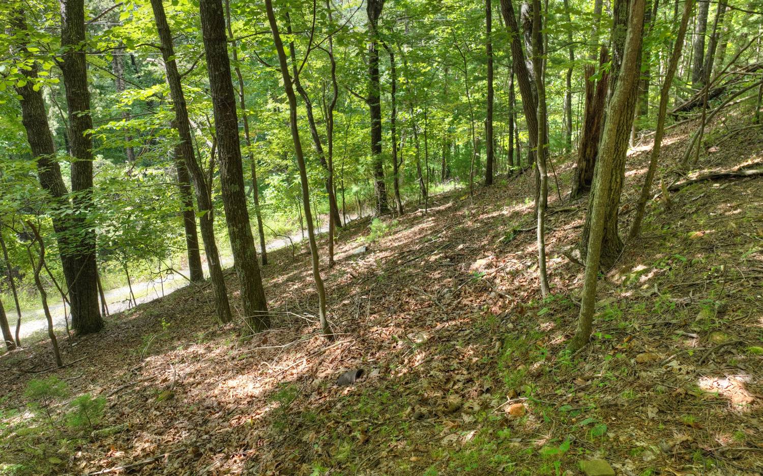 938 Rocky Mountain Circle