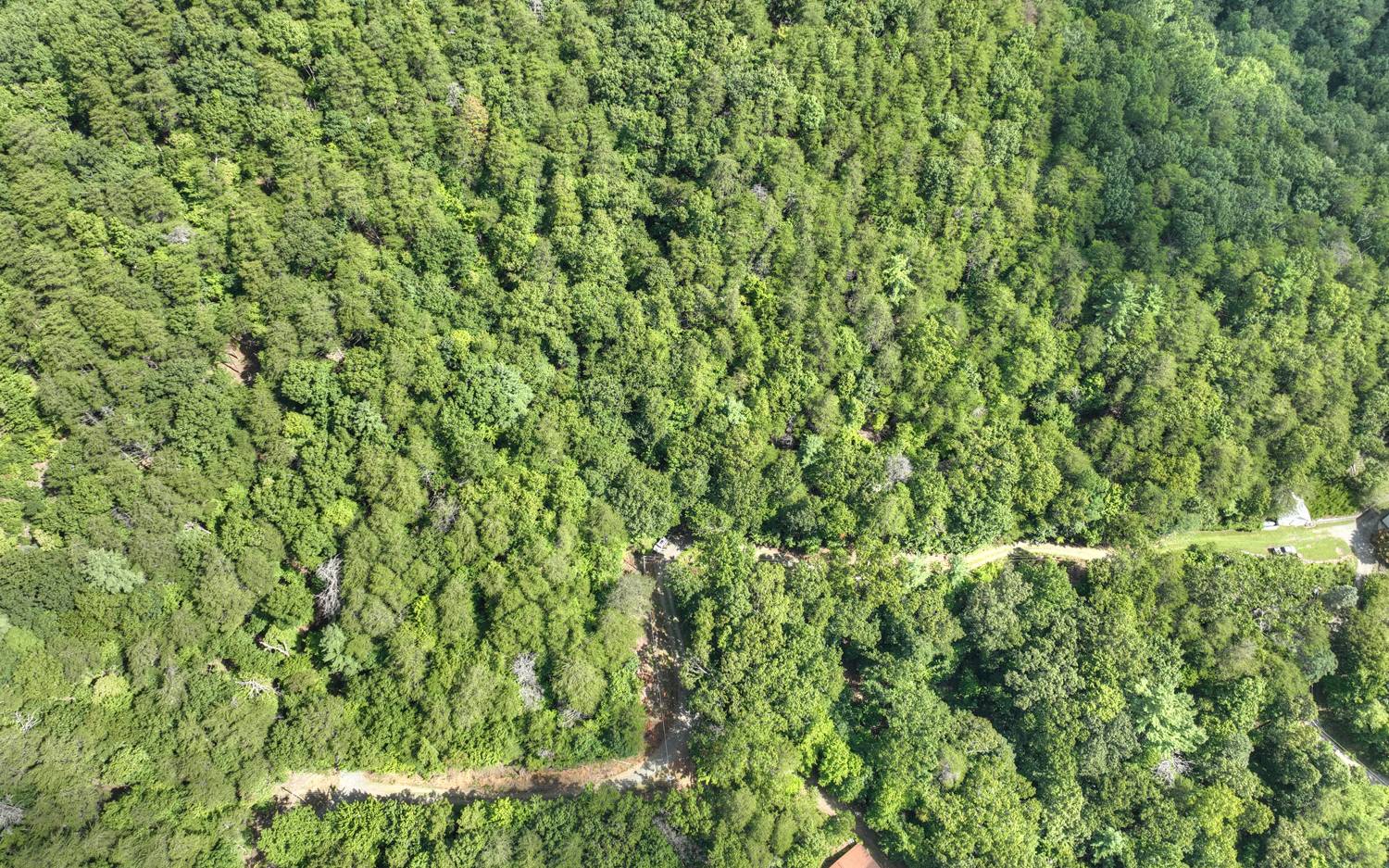 938 Rocky Mountain Circle