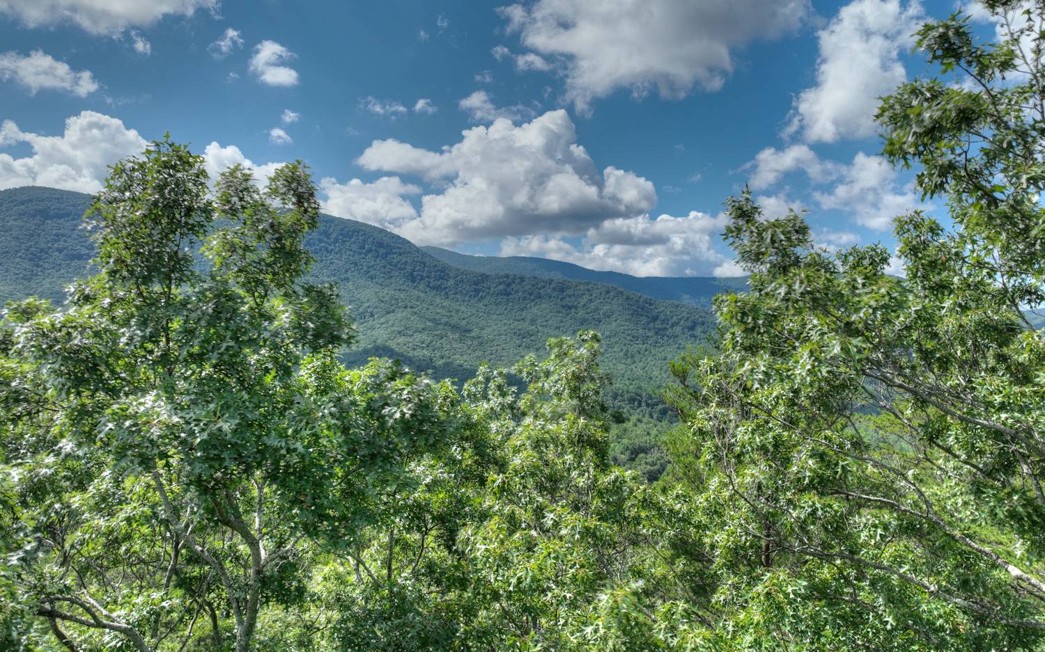 938 Rocky Mountain Circle