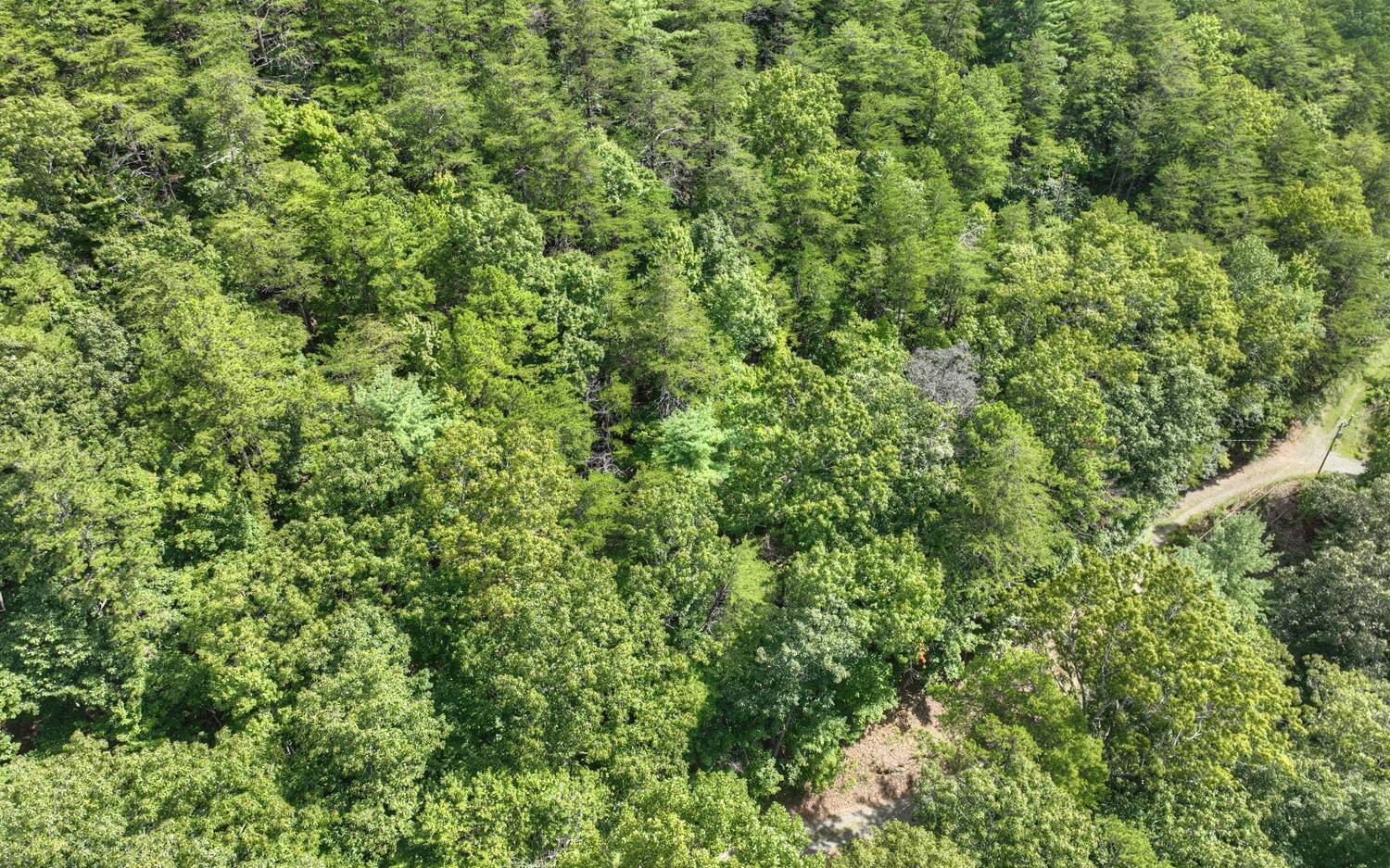 938 Rocky Mountain Circle