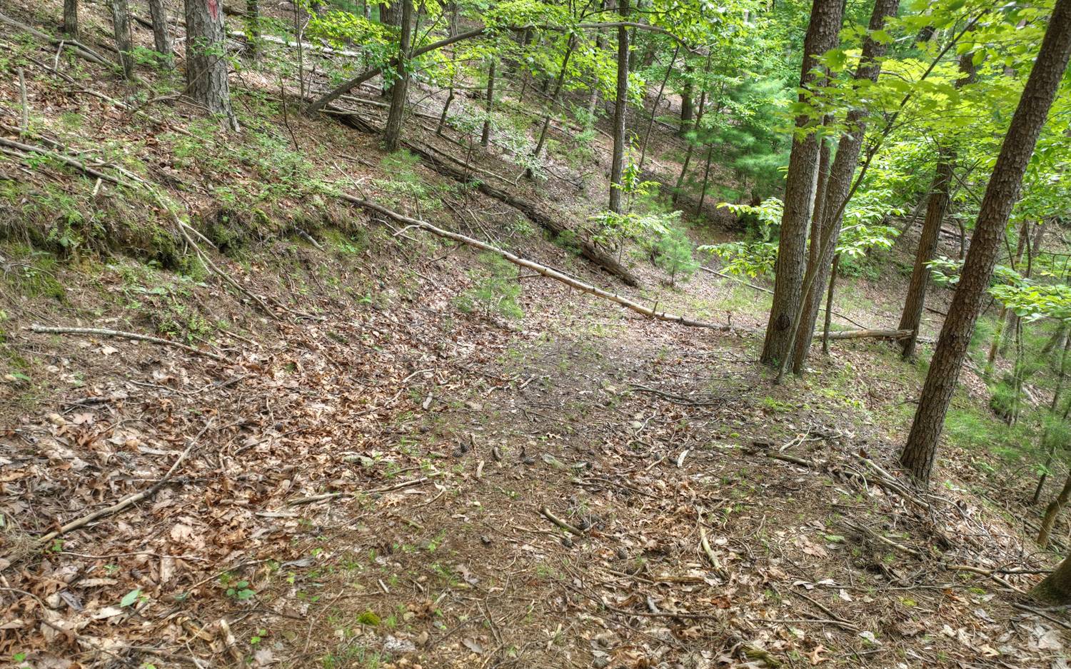 938 Rocky Mountain Circle