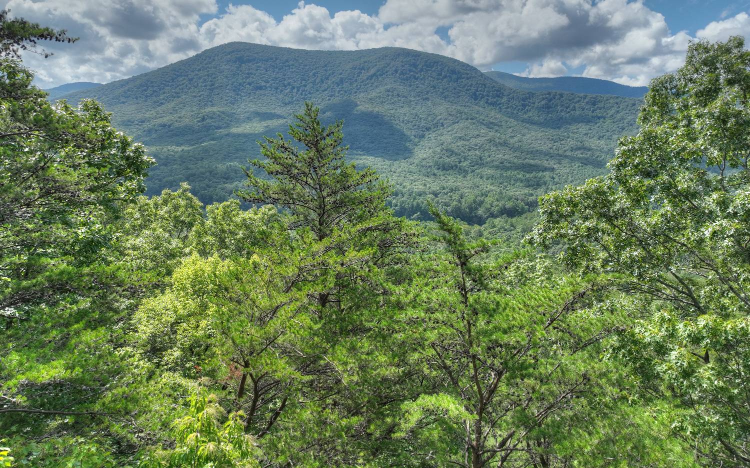 938 Rocky Mountain Circle