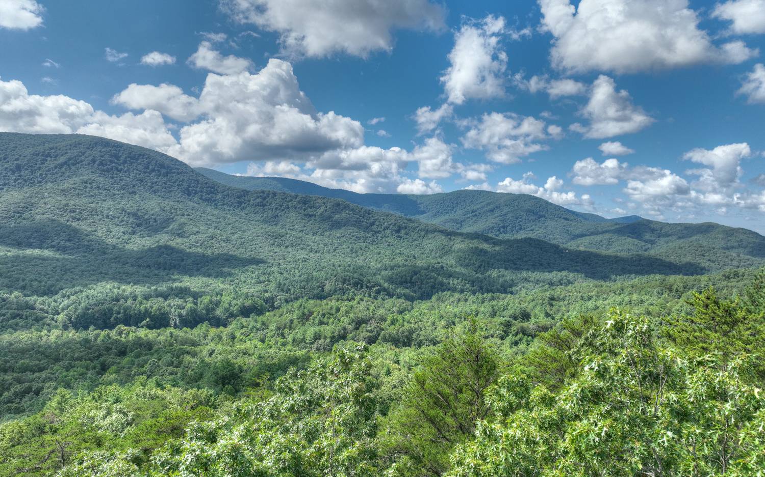 938 Rocky Mountain Circle