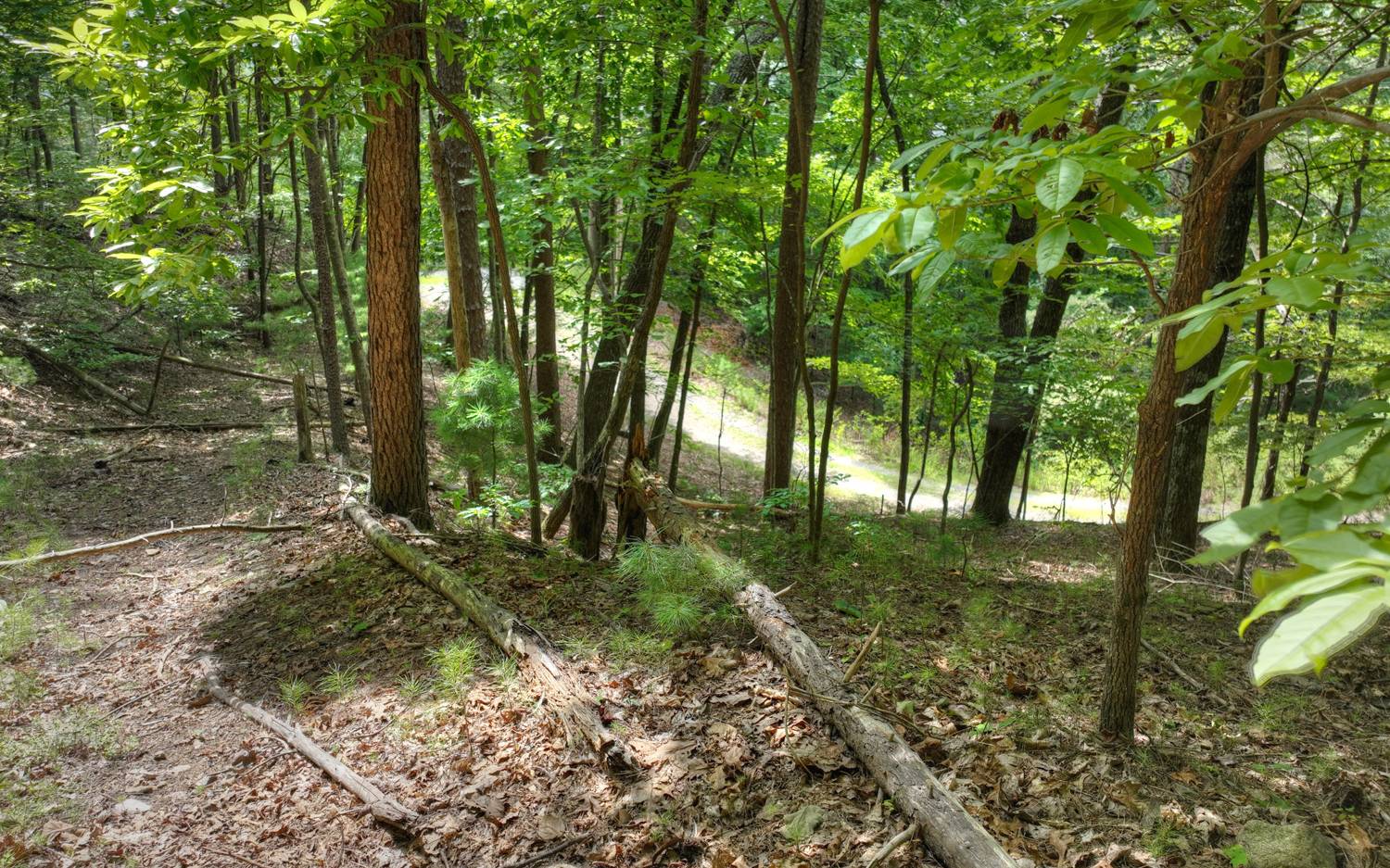 938 Rocky Mountain Circle