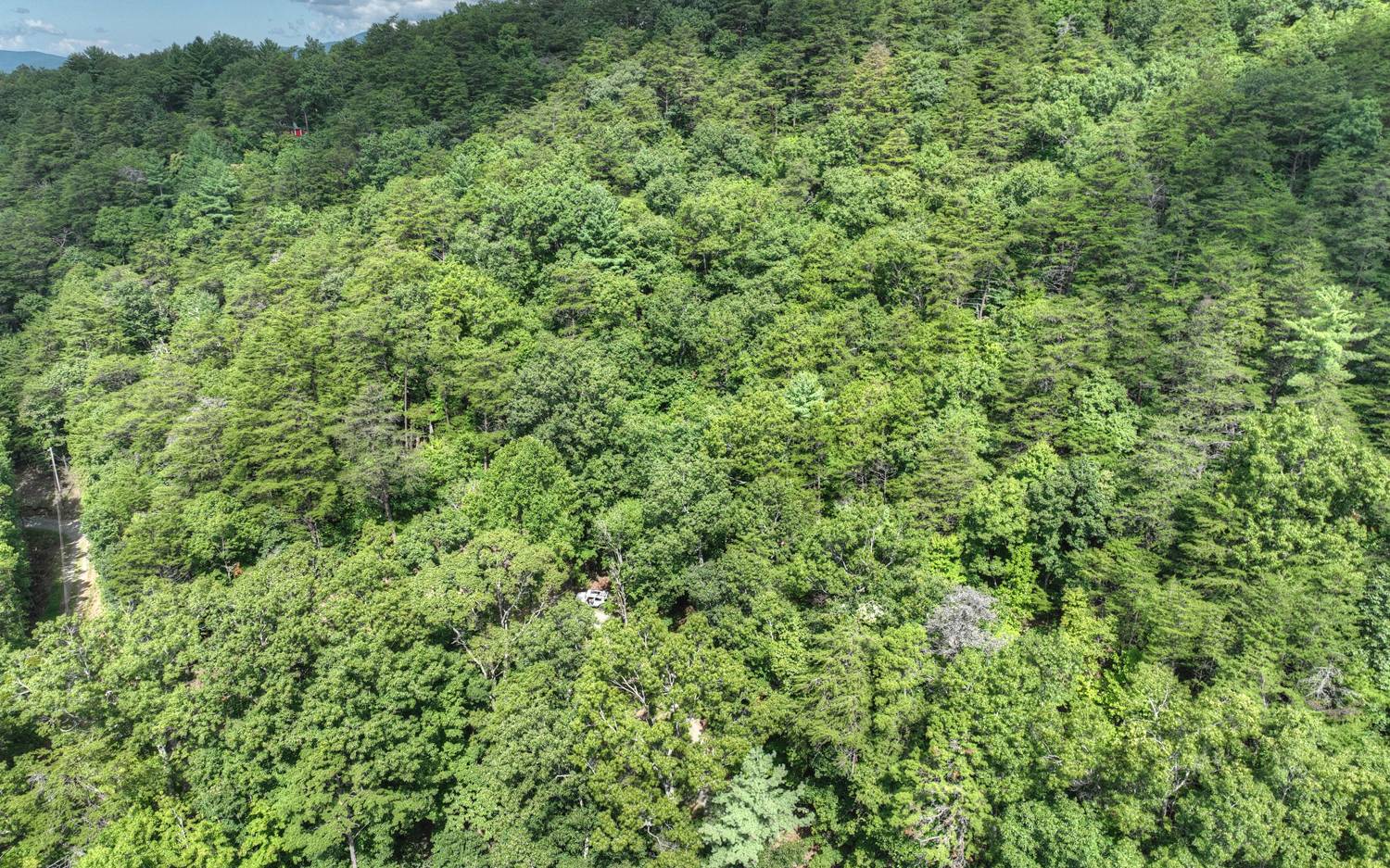 938 Rocky Mountain Circle