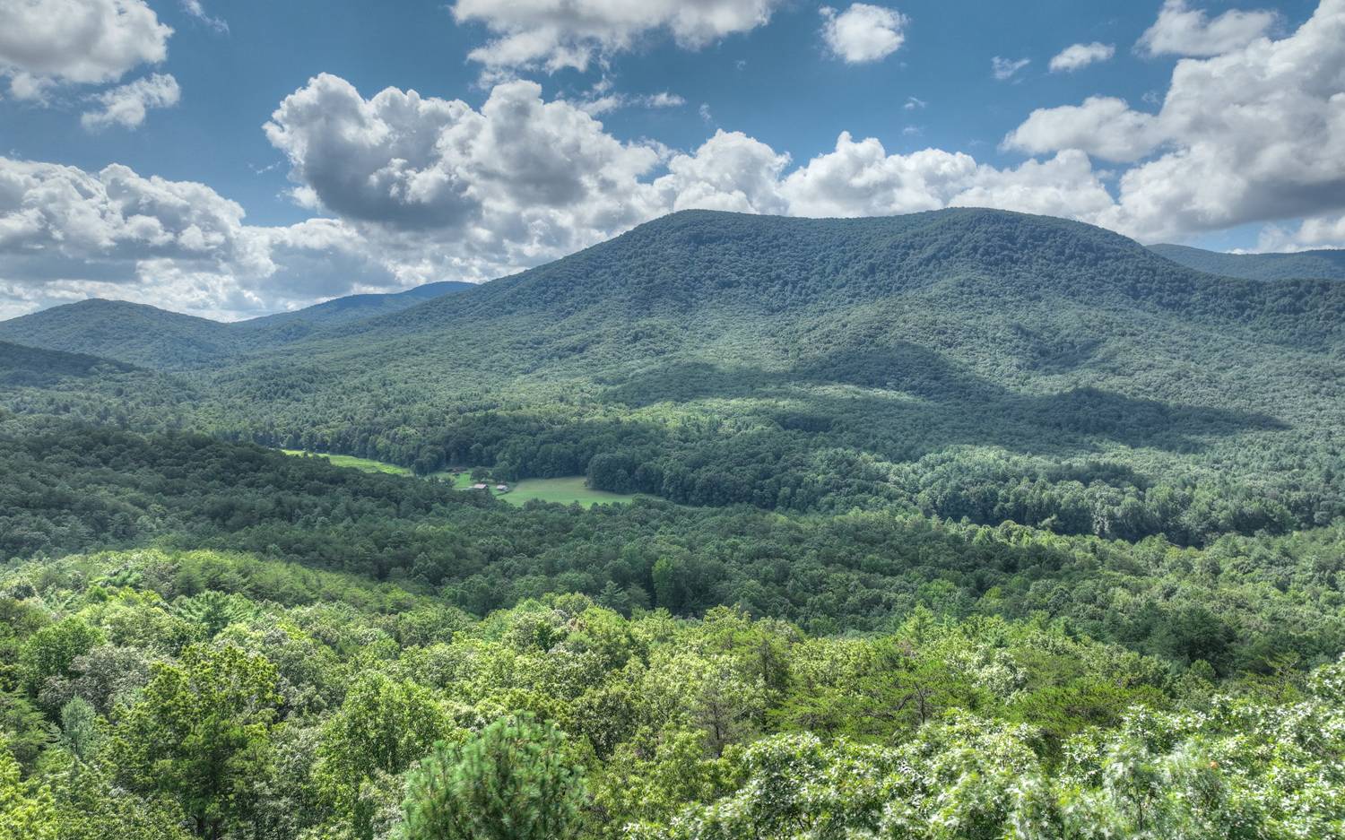 938 Rocky Mountain Circle