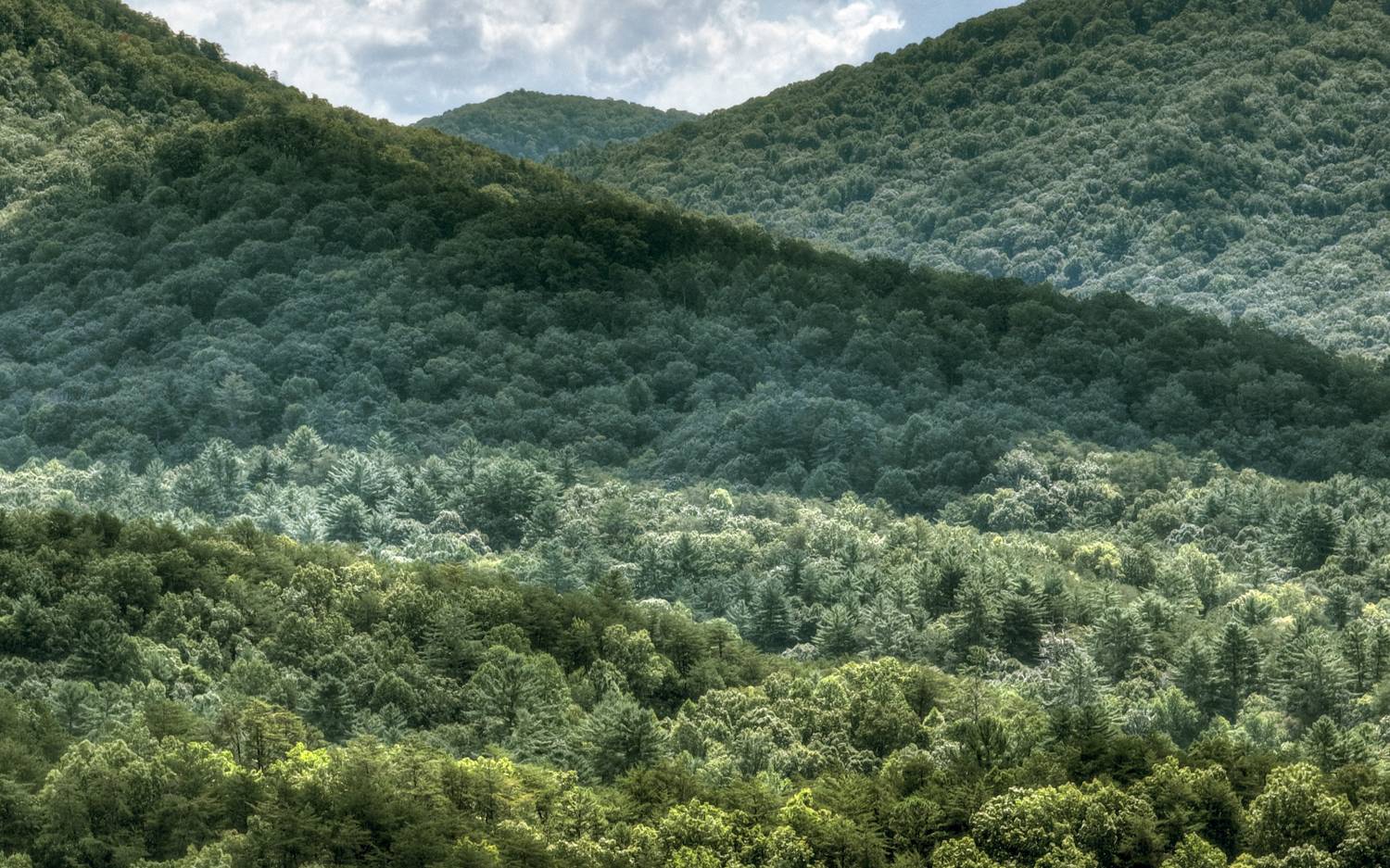 938 Rocky Mountain Circle