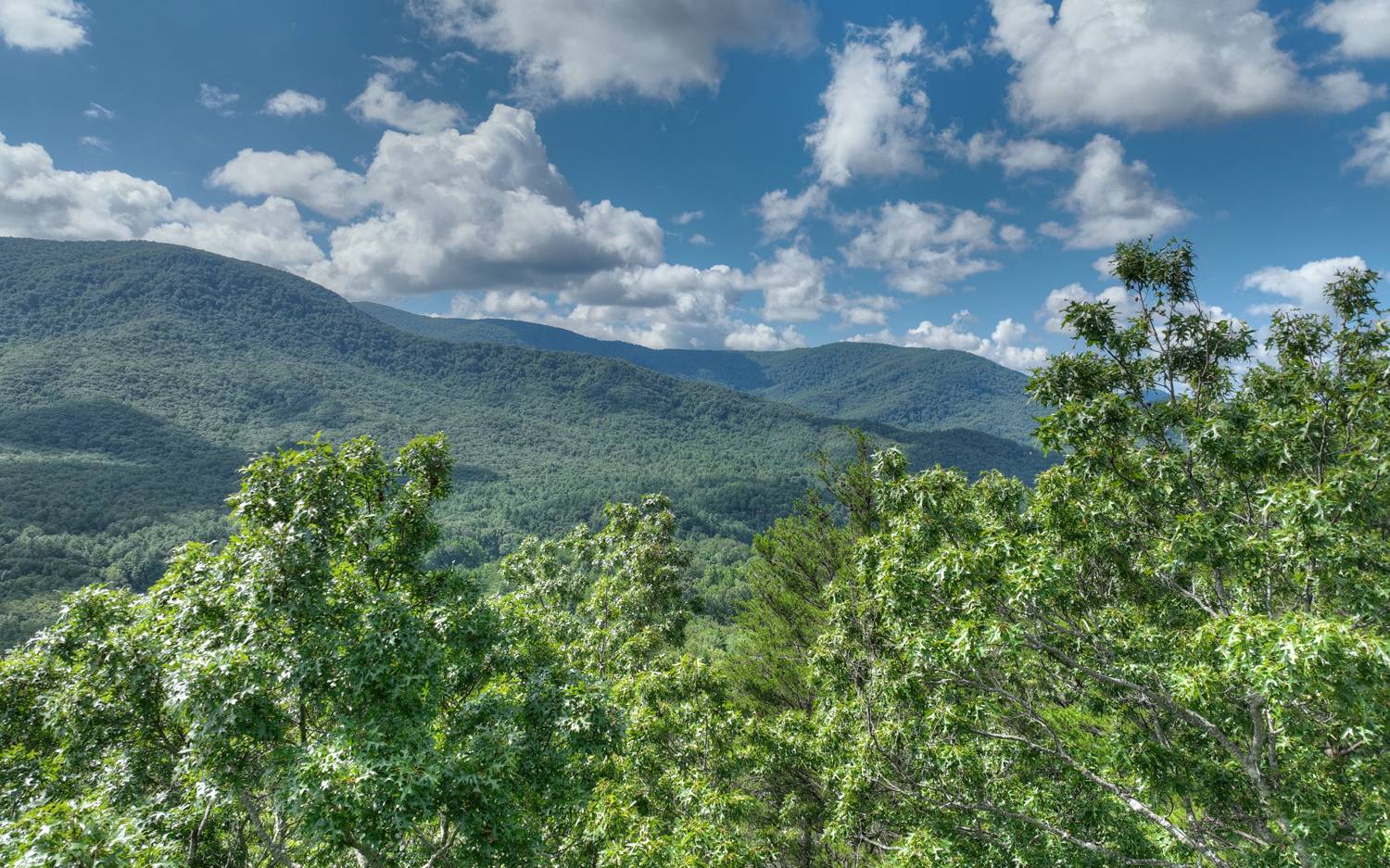 938 Rocky Mountain Circle