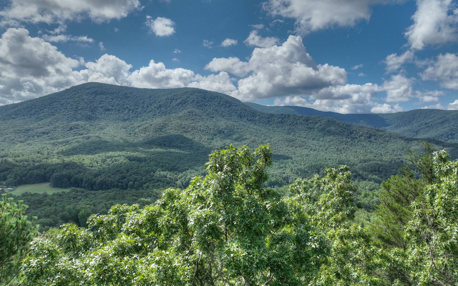 938 Rocky Mountain Circle