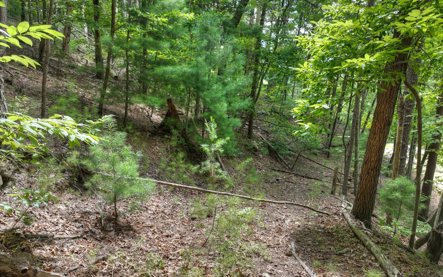 938 Rocky Mountain Circle