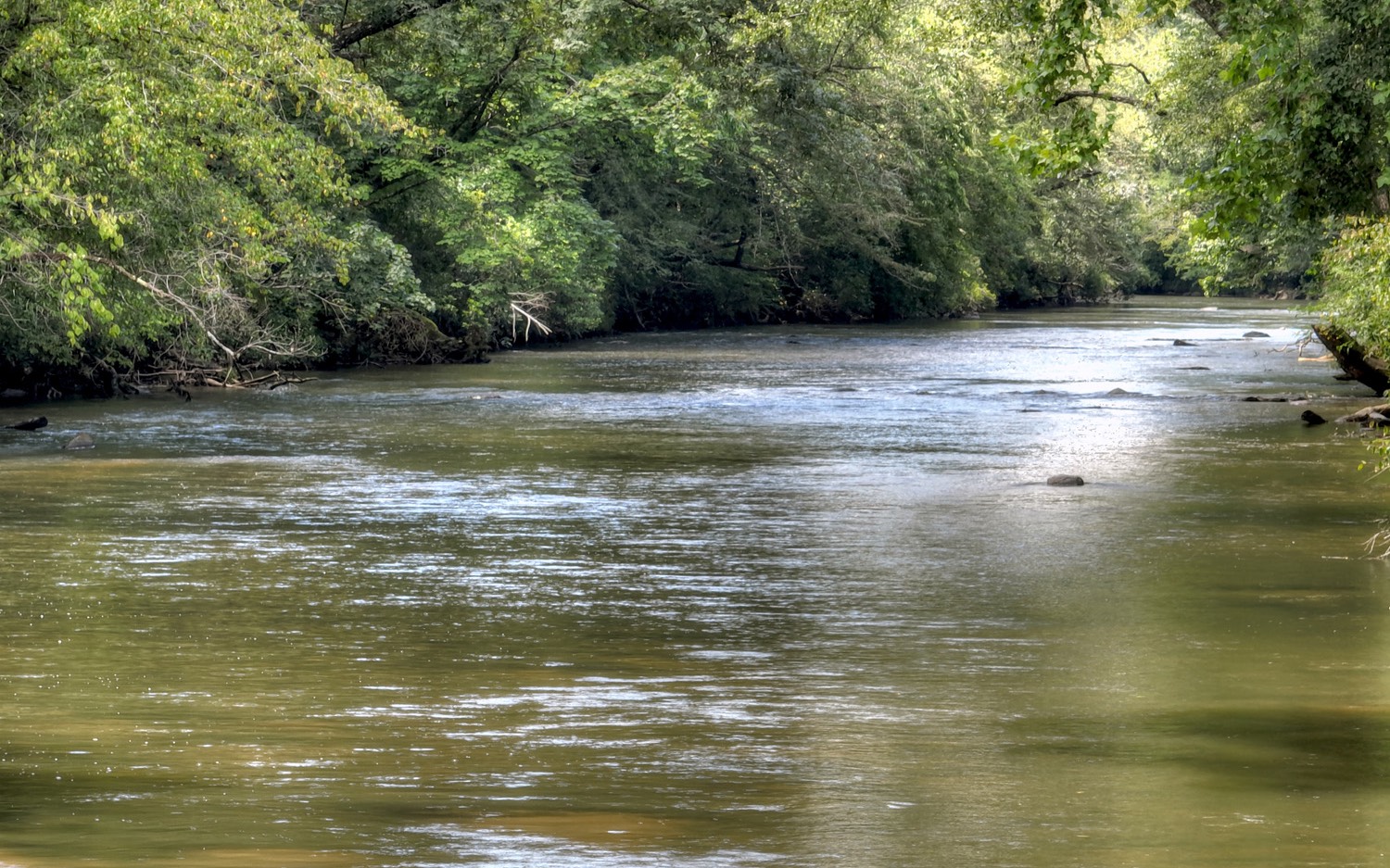847 River Lane