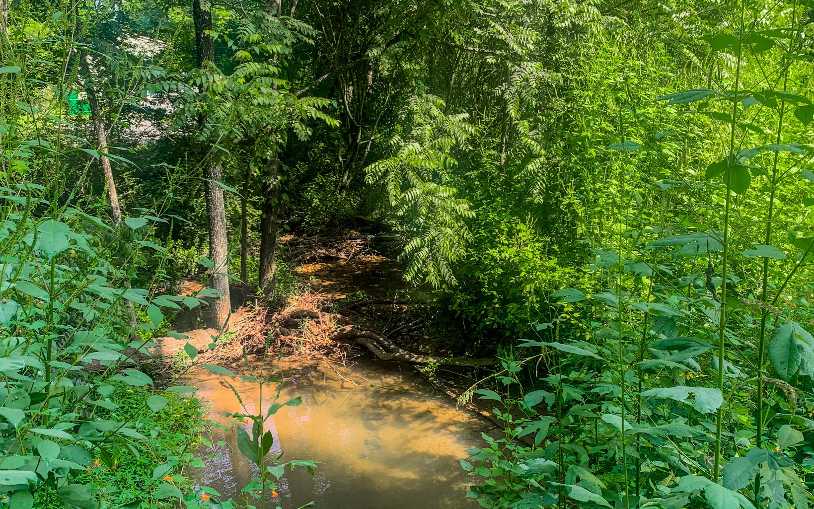 857 Mount Zion Road