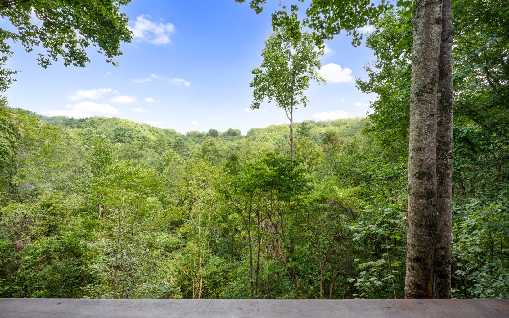 154 Creekside Road