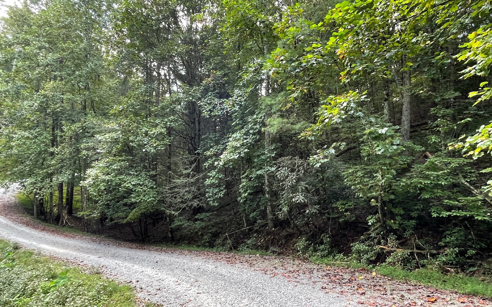 L3621 Fir Lane