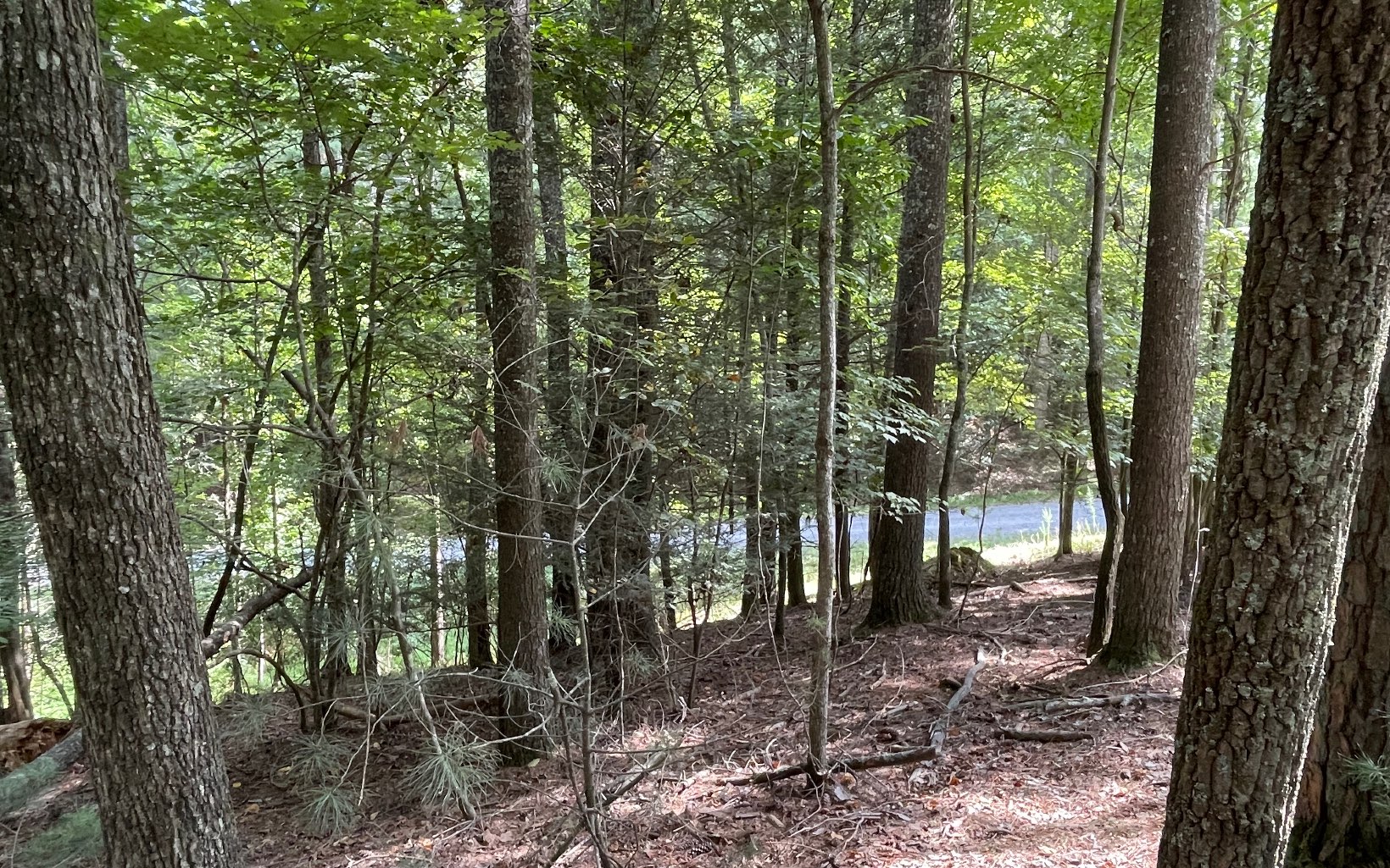 L3621 Fir Lane