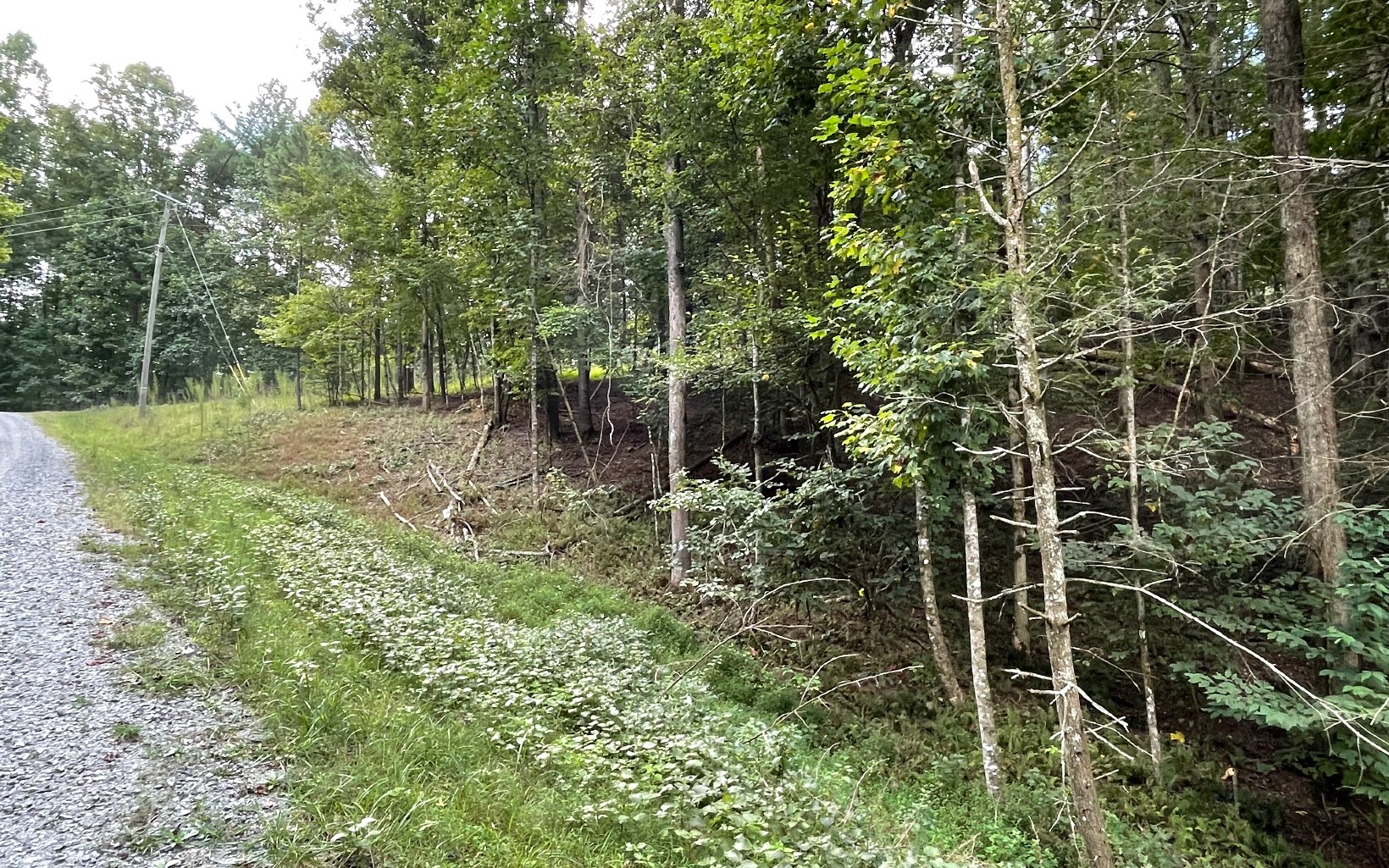 L3621 Fir Lane