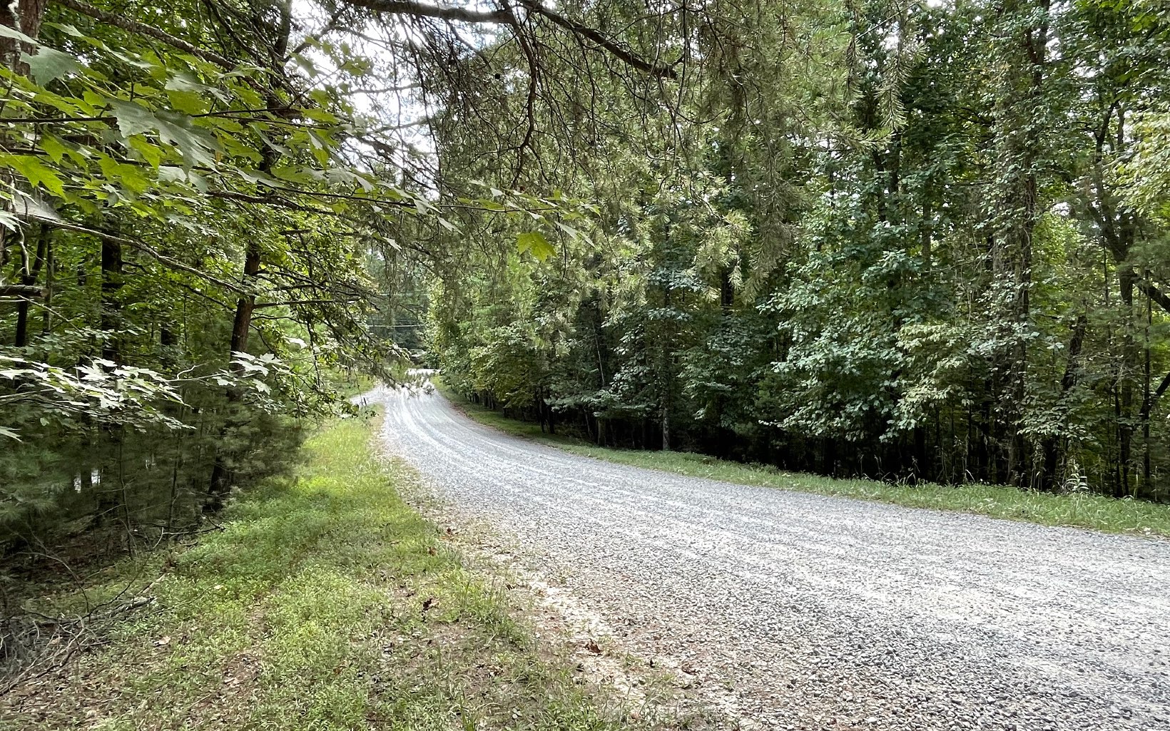 L3621 Fir Lane