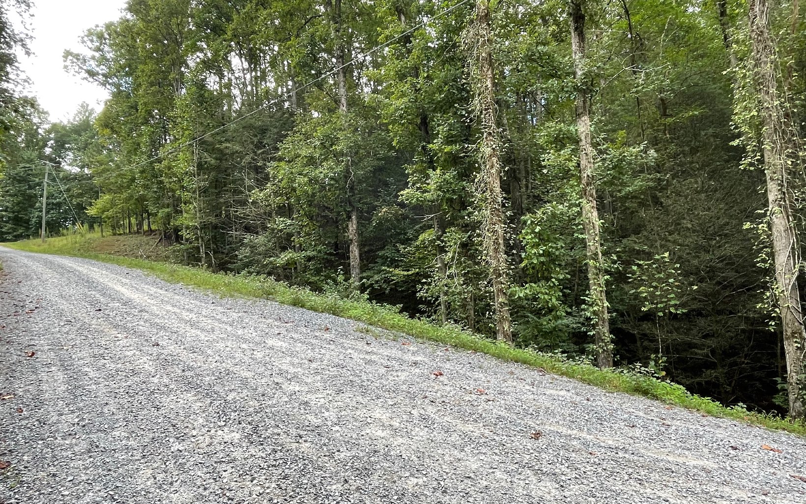 L3621 Fir Lane