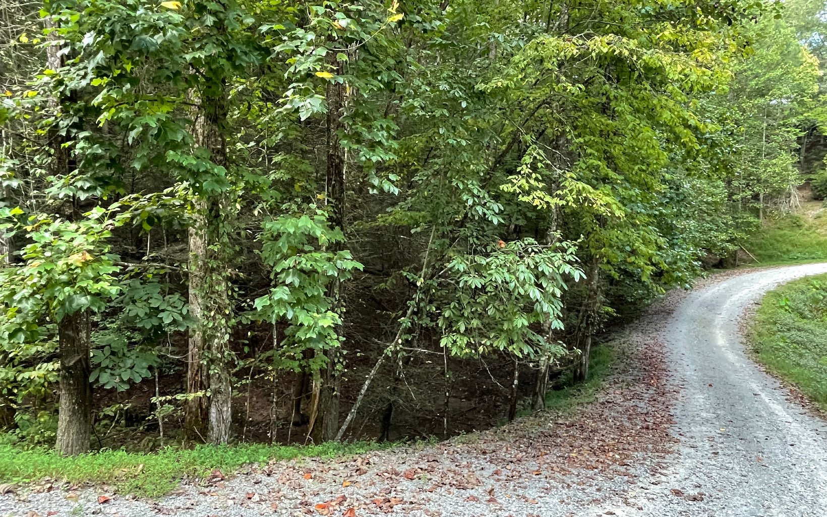 L3621 Fir Lane