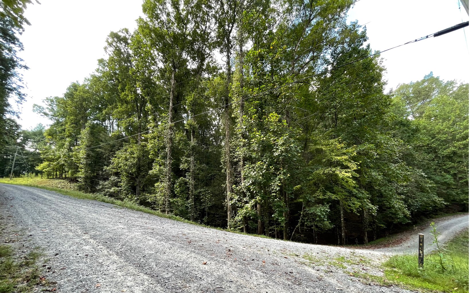 L3621 Fir Lane