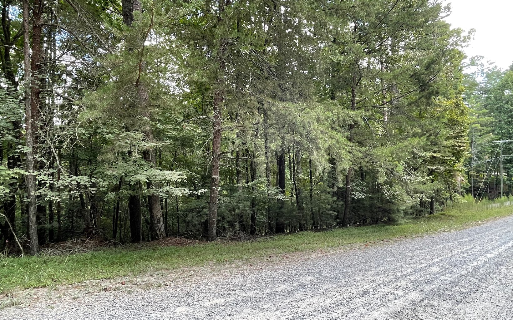 L3621 Fir Lane