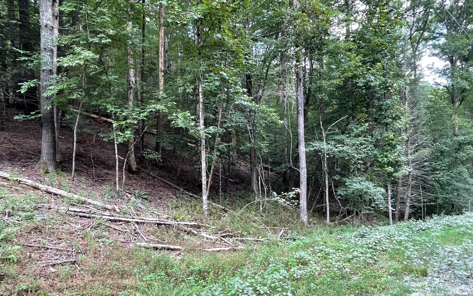 L3621 Fir Lane